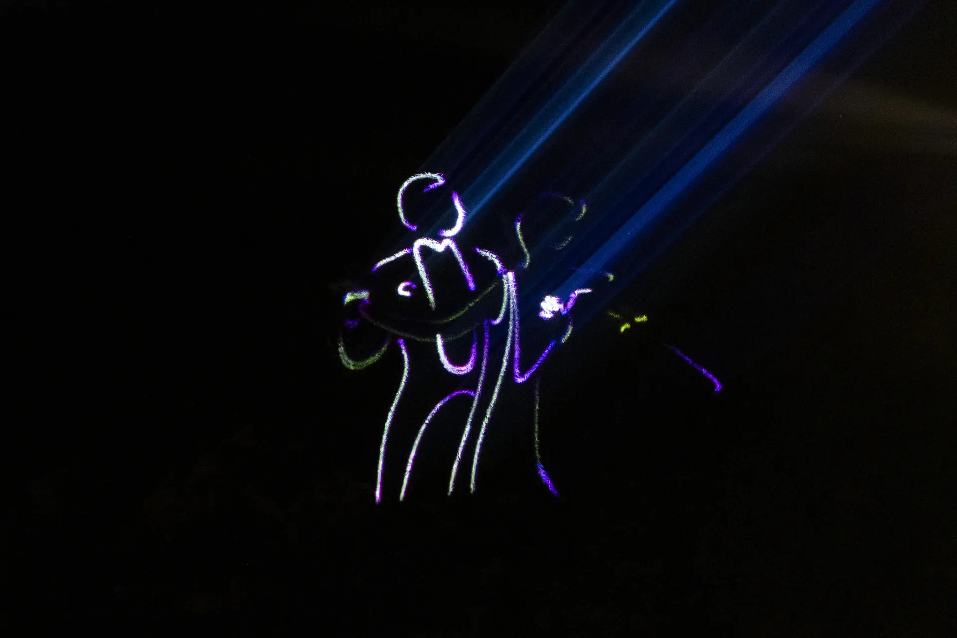 Spettacolo proiezioni laser forma una famglia stilizzata nel cielo notturno durante il festival "Feriolo & Baveno d'Incanto" a Feriolo